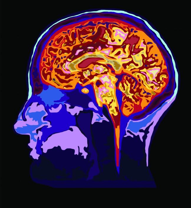 From infants to Buddhist monks, UW research center studies science behind mental well-being