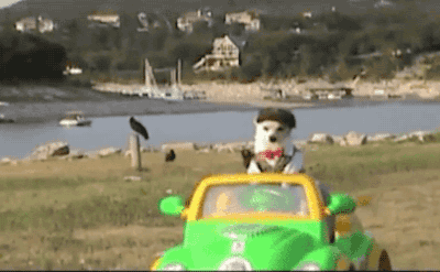 Nine Uber drivers we've all had