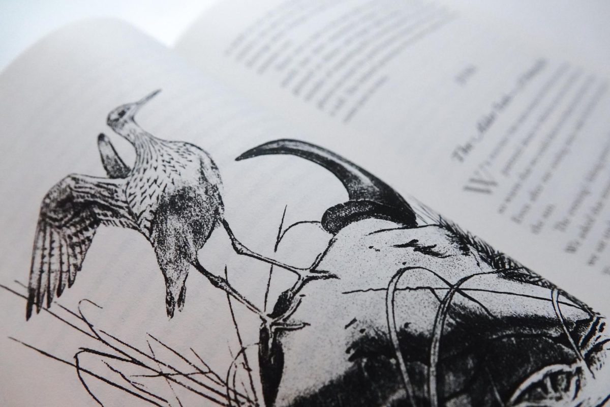 Aldo Leopold's sketch in "A Sand County Almanac." February 9, 2025.