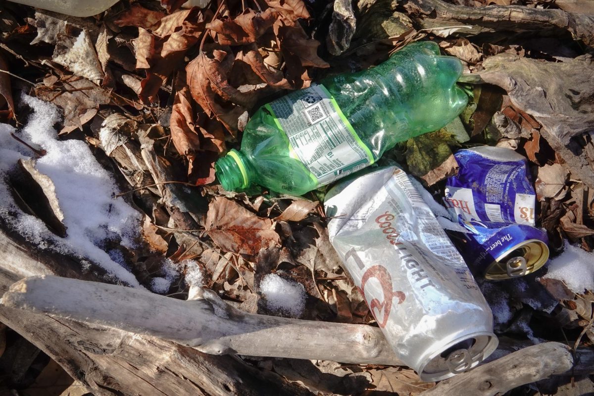 Empty bottles and cans sit among leaves. March 20, 2025.